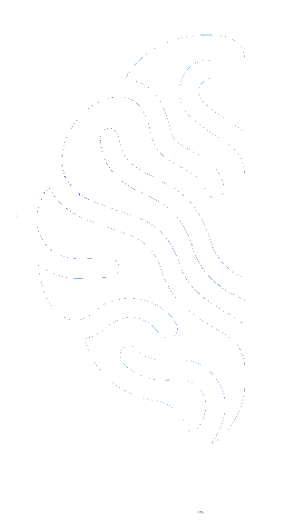 Mirmi logo